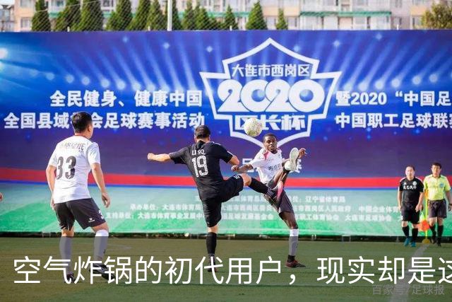 空气炸锅的初代用户，现实却是这样！
